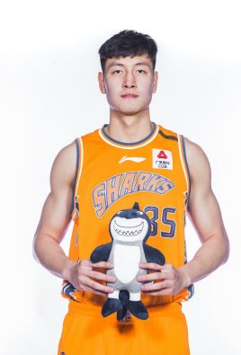 �����Ÿ�������