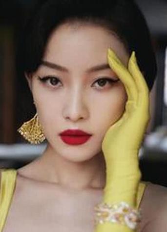 ���ݸ�������