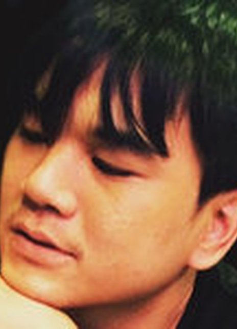 �����и�������