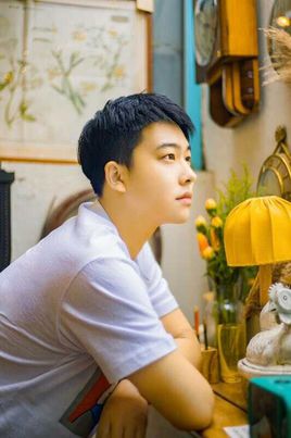 �����¸�������