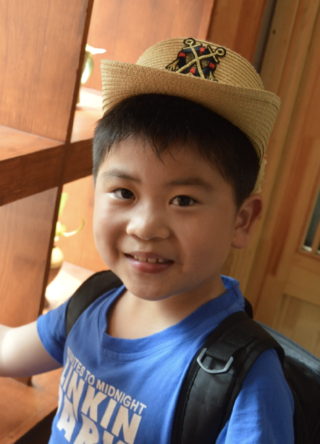 �����ȸ�������