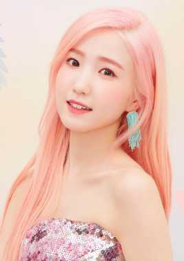 ����������������