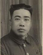 ����֦��������