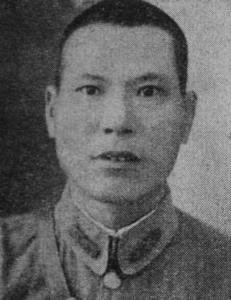 �Ĺ�谸�������