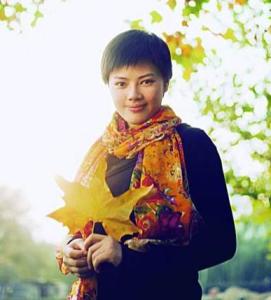 ɣ����������