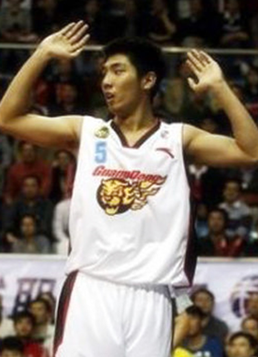 ��ԭ�ڸ�������