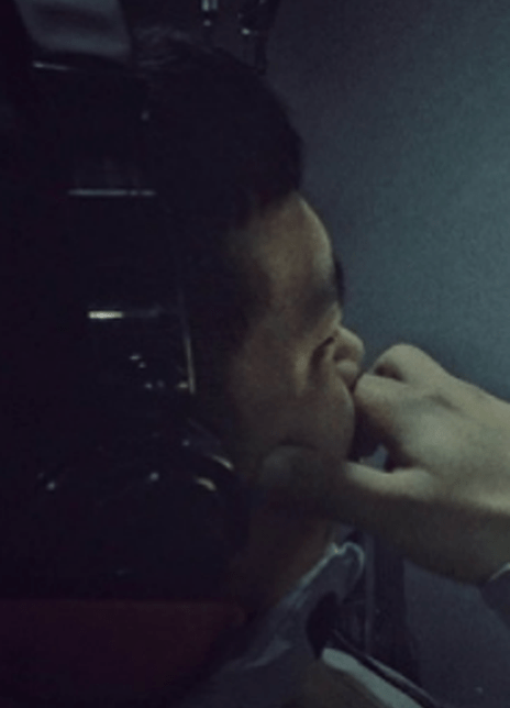 ʷ����������