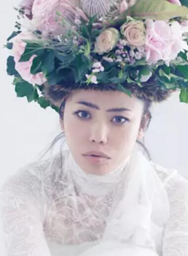 ׿�ȸ�������