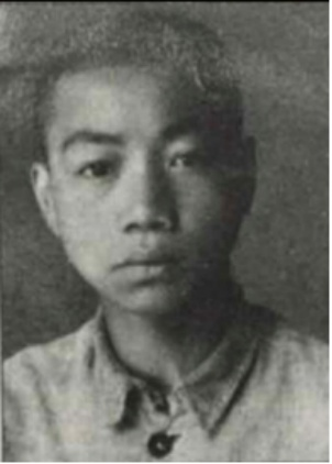 ��Ϊ����������