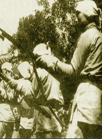 ��½˳��������