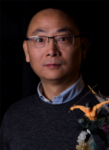 ��ΰ����������