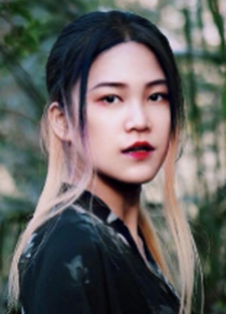 ��˾�������