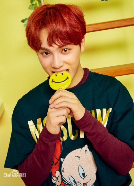 �ܺ����������