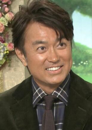 ʯ���͸�������