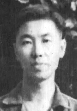 �ο���������