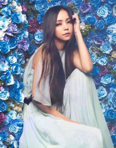 ���������ݸ�������