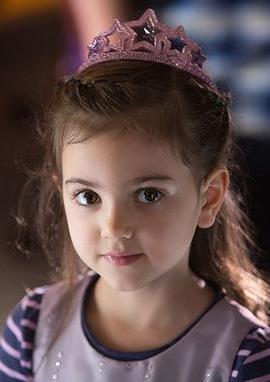 ���ȡ����¡�����ɭ��������