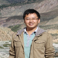 Ҷ���ϸ�������