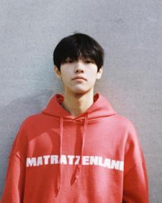 ʩչ��������