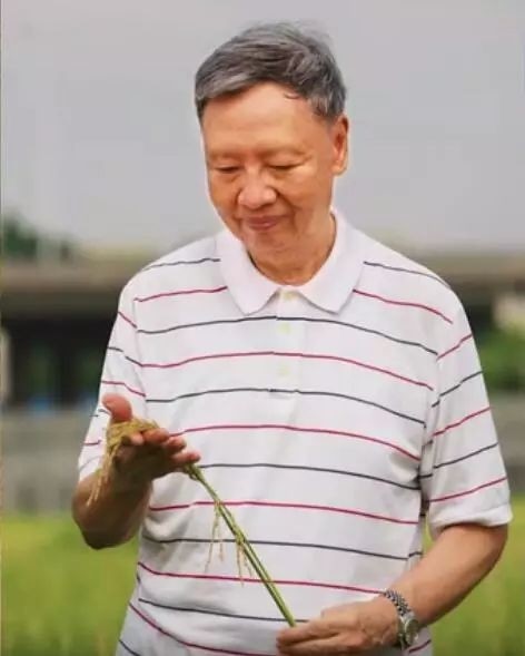 ¬������������