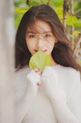 �������������