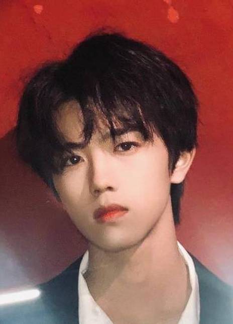 �����ܸ�������