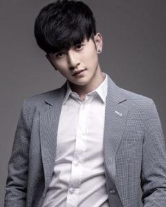 ���޳ɸ�������