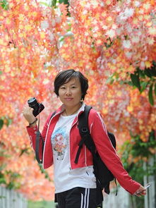 �½�Ө��������