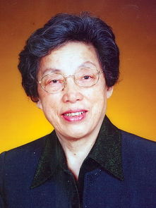 �����¸�������