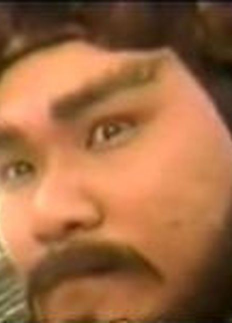 ���ް���������