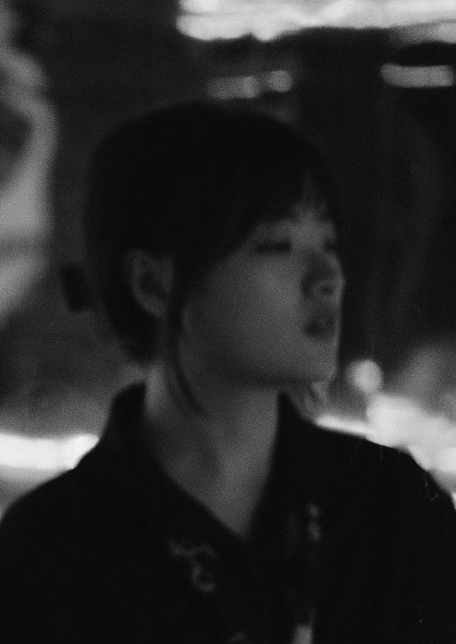 ���γ���������