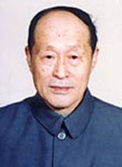 ����͸�������