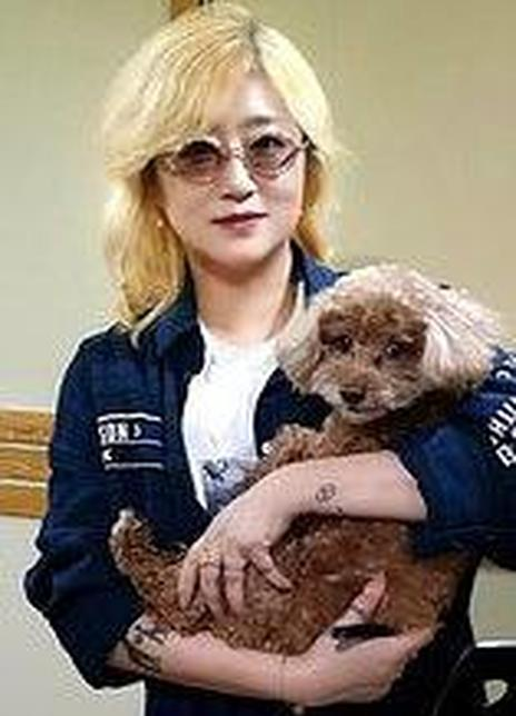 �ϻ�ʤ��������