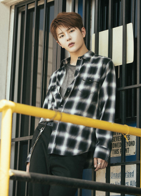 �����ɸ�������