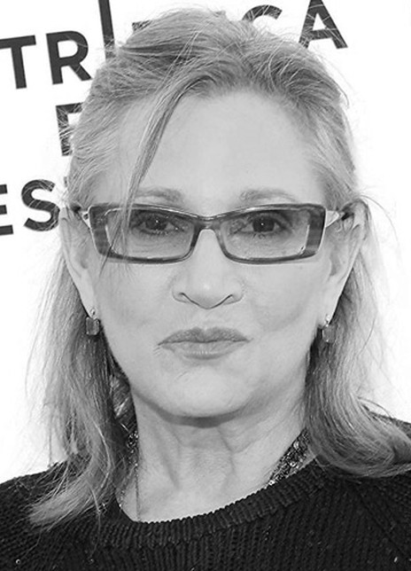 ��������ѩ��������