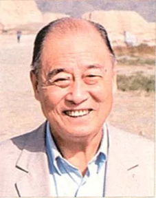 ����ΰ��������