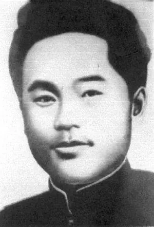 �²����������