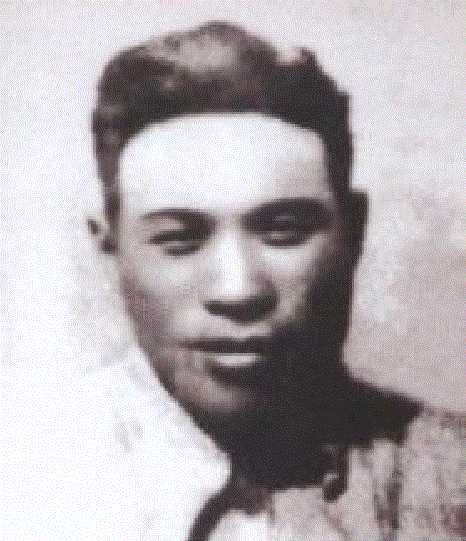 �����Ƹ�������