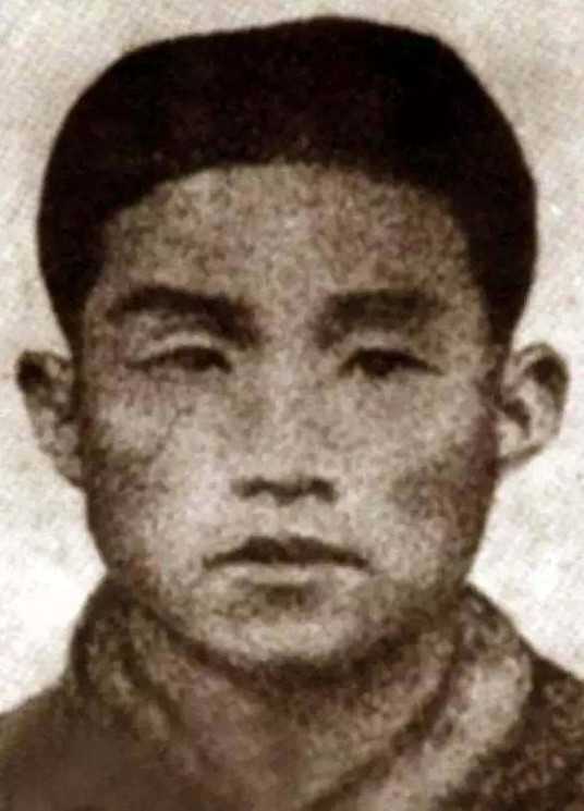 ���񺣸�������