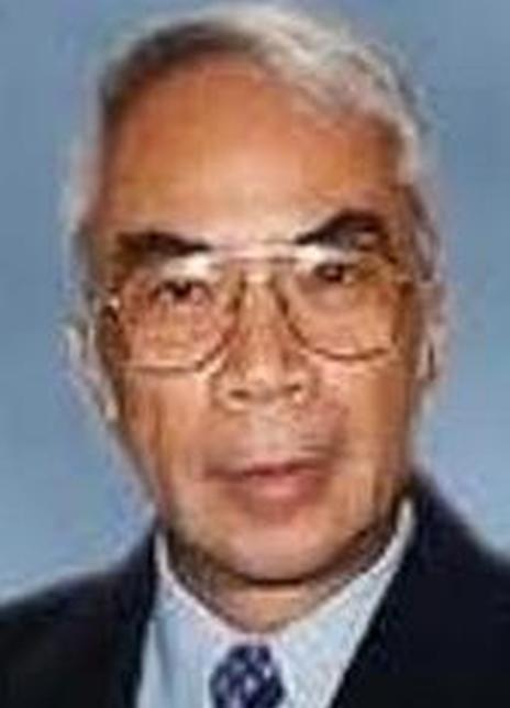 �ιڲ���������