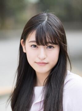 ɭ�߰���������