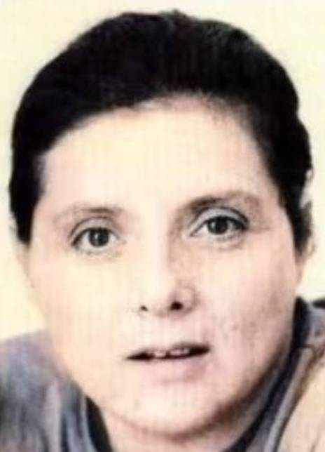 ���١���������������