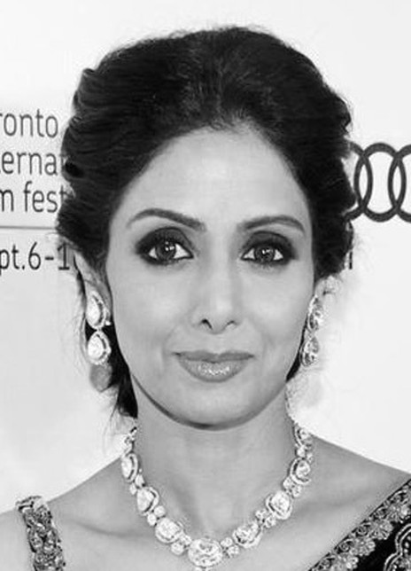 ʫ�������������