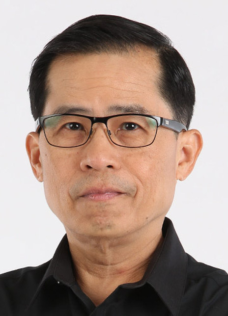 ɣ����ά���ɸ�������