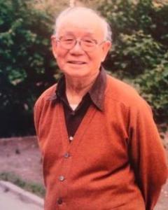 ���Ⱦ��������