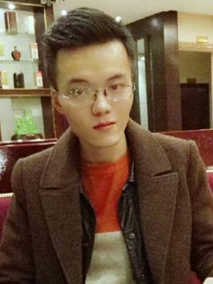 ʯ�Ÿ�������