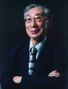 �⴫����������