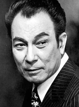 ʯ���������