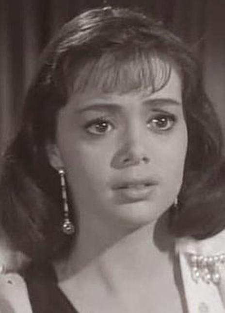 ��ɺ�������������