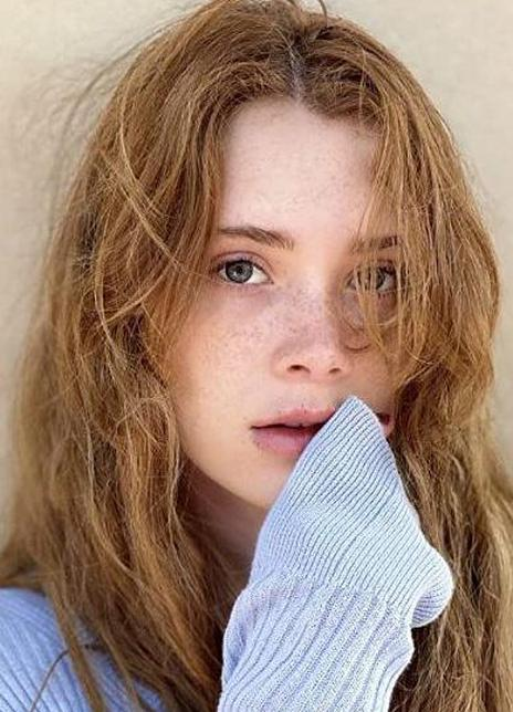 ά�����ء�����ɭ��������